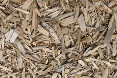 biomass boilers Rhyd Uchaf